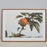 1747 5282 Fotokonst